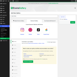 Page screenshot: Envira Gallery &rarr; Add New Gallery &rarr; 
		External Gallery
	