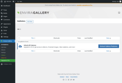 Page screenshot: Envira Gallery