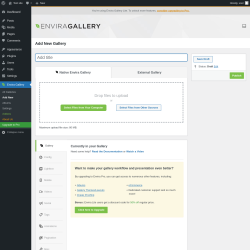 Page screenshot: Envira Gallery &rarr; Add New