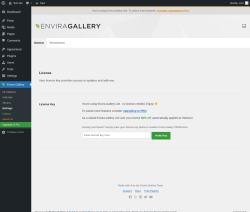Page screenshot: Envira Gallery &rarr; Settings