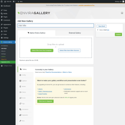 Page screenshot: Envira Gallery &rarr; Add New
