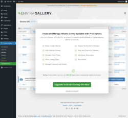 Page screenshot: Envira Gallery &rarr; Albums