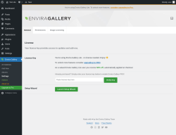 Page screenshot: Envira Gallery &rarr; Settings