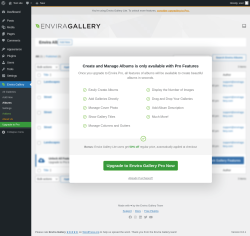 Page screenshot: Envira Gallery &rarr; Albums