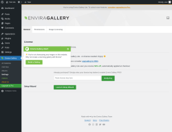 Page screenshot: Envira Gallery &rarr; Settings