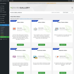 Page screenshot: Envira Gallery &rarr;  Addons