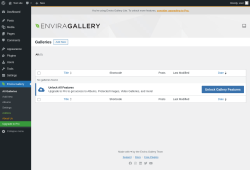 Page screenshot: Envira Gallery