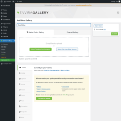 Page screenshot: Envira Gallery &rarr; Add New