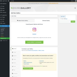 Page screenshot: Envira Gallery &rarr; Add New &rarr; 
		External Gallery
	
