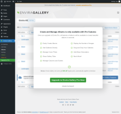 Page screenshot: Envira Gallery &rarr; Albums