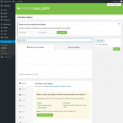 Page screenshot: Envira Gallery &rarr; Add New