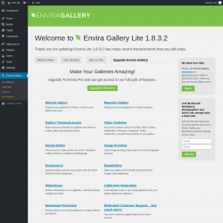 Page screenshot: Envira Gallery &rarr;  Upgrade Envira Gallery