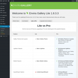 Page screenshot: Envira Gallery &rarr;  Lite vs Pro