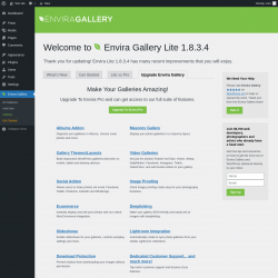 Page screenshot: Envira Gallery &rarr;  Upgrade Envira Gallery