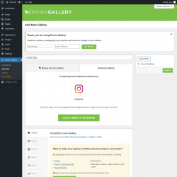 Page screenshot: Envira Gallery &rarr; Add New &rarr; 
		External Gallery
	