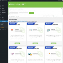 Page screenshot: Envira Gallery &rarr;  Addons