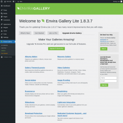 Page screenshot: Envira Gallery &rarr;  Upgrade Envira Gallery