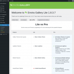 Page screenshot: Envira Gallery &rarr;  Lite vs Pro