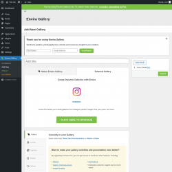 Page screenshot: Envira Gallery &rarr; Add New &rarr; 
		External Gallery
	