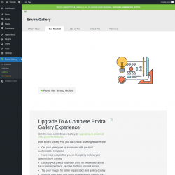 Page screenshot: Envira Gallery &rarr;  Get Started