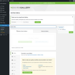Page screenshot: Envira Gallery &rarr; Add New