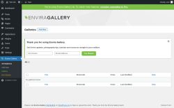 Page screenshot: Envira Gallery