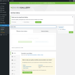 Page screenshot: Envira Gallery &rarr; Add New