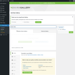 Page screenshot: Envira Gallery &rarr; Add New