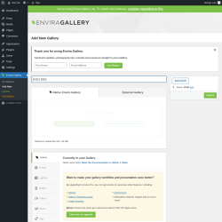Page screenshot: Envira Gallery &rarr; Add New