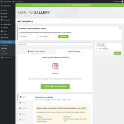 Page screenshot: Envira Gallery &rarr; Add New &rarr; 
		External Gallery
	