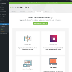 Page screenshot: Envira Gallery &rarr;  Upgrade Envira Gallery