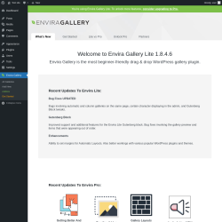 Page screenshot: Envira Gallery &rarr;  Welcome