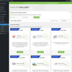 Page screenshot: Envira Gallery &rarr;  Addons