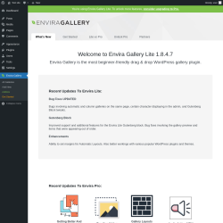 Page screenshot: Envira Gallery &rarr;  Welcome