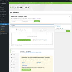 Page screenshot: Envira Gallery &rarr; Add New