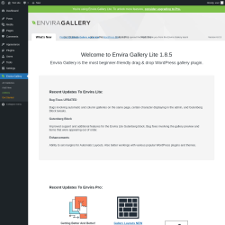 Page screenshot: Envira Gallery &rarr;  Welcome