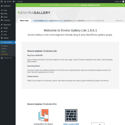 Page screenshot: Envira Gallery &rarr;  Welcome