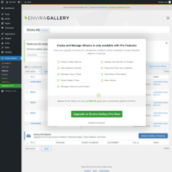 Page screenshot: Envira Gallery &rarr; Albums