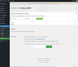 Page screenshot: Envira Gallery &rarr; Settings