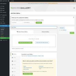 Page screenshot: Envira Gallery &rarr; Add New