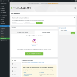 Page screenshot: Envira Gallery &rarr; Add New &rarr; 
		External Gallery
	