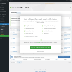 Page screenshot: Envira Gallery &rarr; Albums