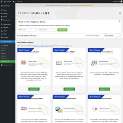 Page screenshot: Envira Gallery &rarr;  Addons