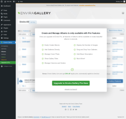 Page screenshot: Envira Gallery &rarr; Albums