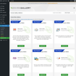 Page screenshot: Envira Gallery &rarr;  Addons