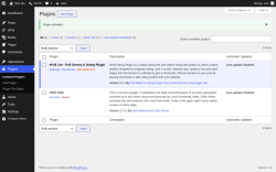 Page screenshot: Plugins &lsaquo; Test site &mdash; WordPress