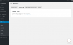 Page screenshot: Settings &rarr; 301 Redirects &rarr; 404 Error Log