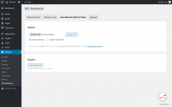 Page screenshot: Settings &rarr; 301 Redirects &rarr; Import/Export Redirect Rules