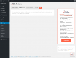 Page screenshot: Settings &rarr; 301 Redirects &rarr; 404 Error Log