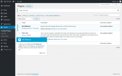 Page screenshot: Plugins &lsaquo; Test site &mdash; WordPress